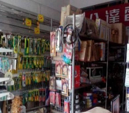 ��ï�������