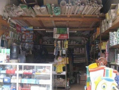 ��ï�������